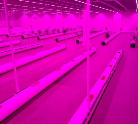 Home Commercial Services